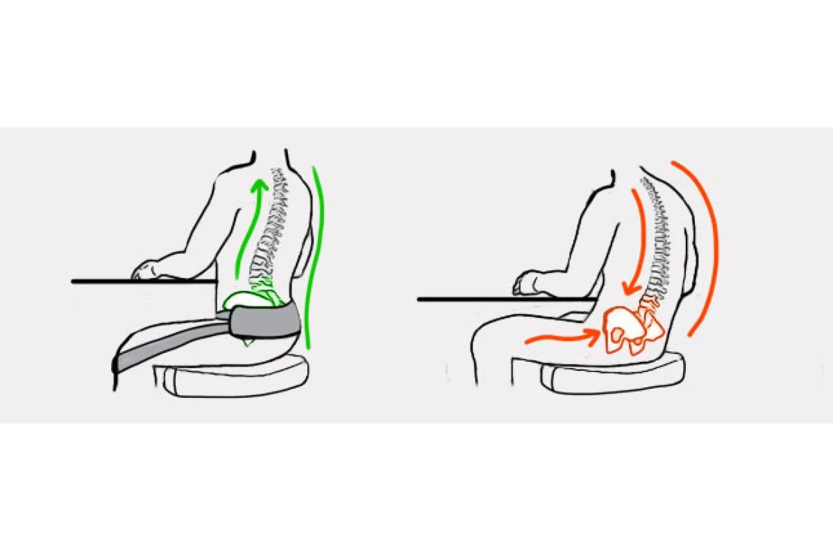 An illustration showing how the dynamic lumbar support flexes.